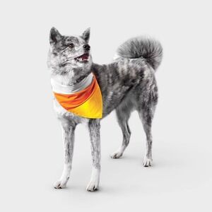 Boots & Barkley‎ Reflective Candy Corn Dog Bandana Recycled Polyester Halloween